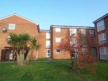 image of , Archery Close